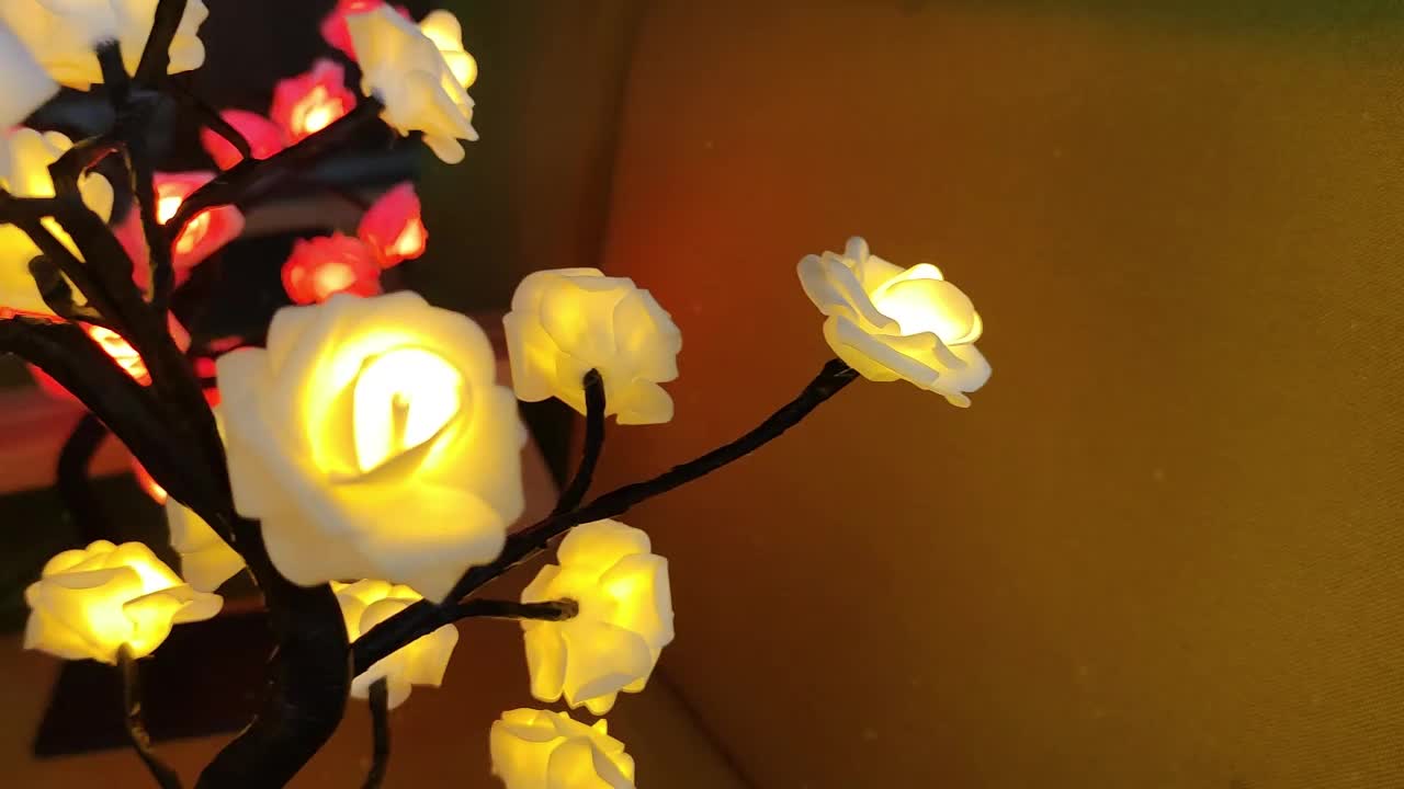 Shenzhi Tech USB Powered LED