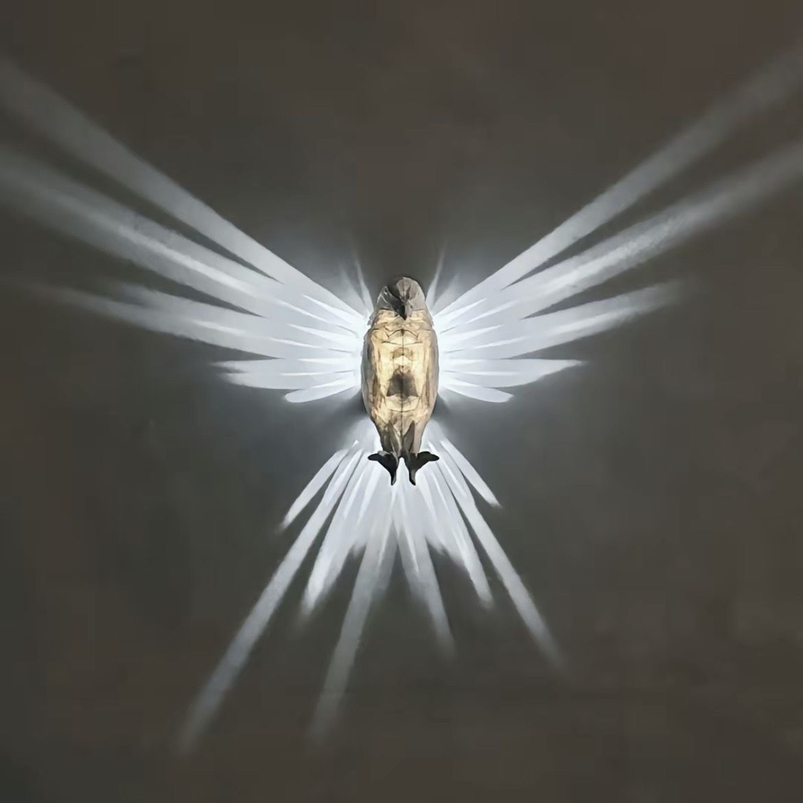 Battery Operated 3D Owl LED