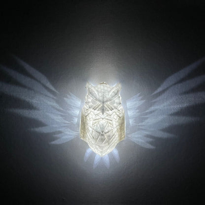Battery Operated 3D Owl LED