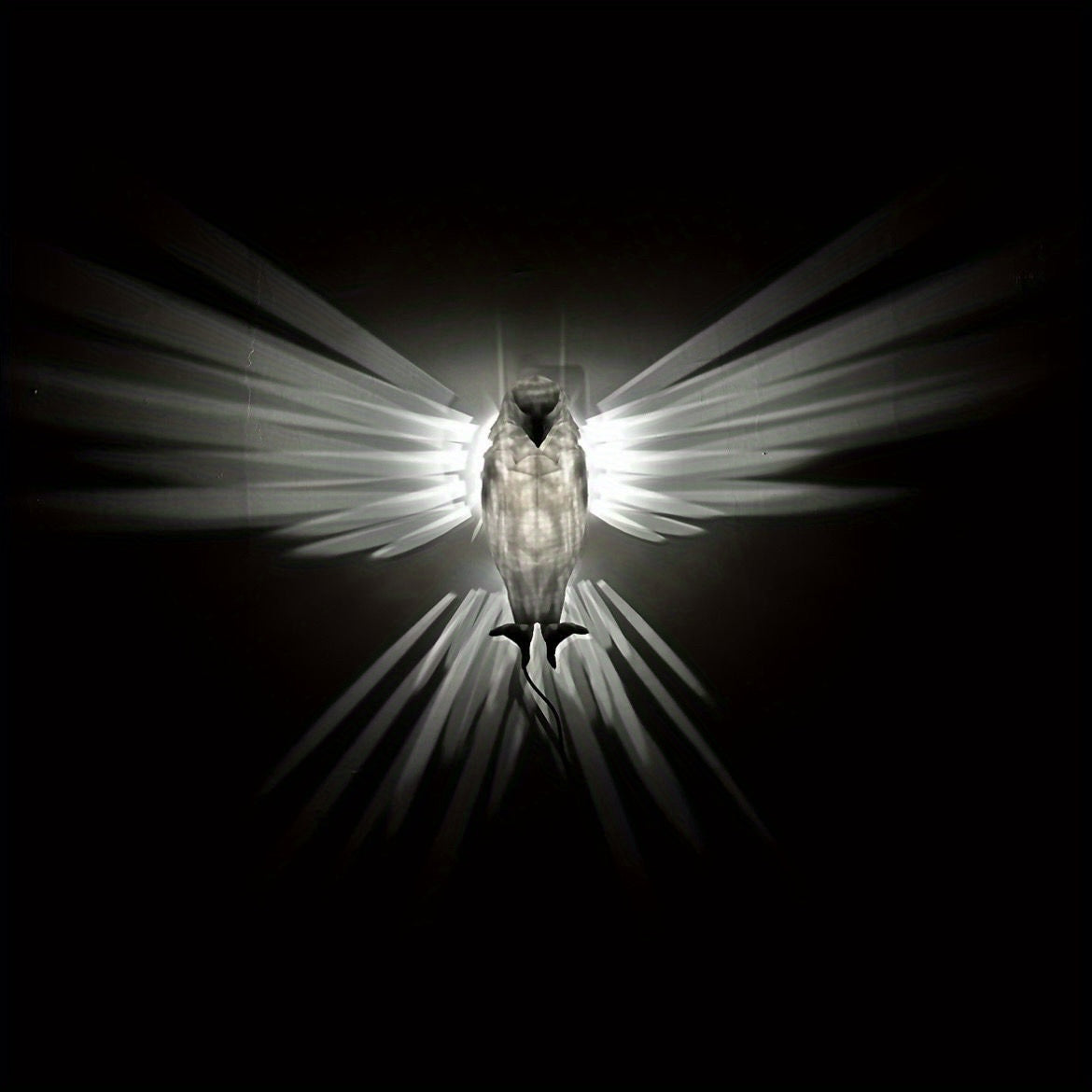 Battery Operated 3D Owl LED