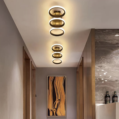Modern Round Ceiling Light Fixture